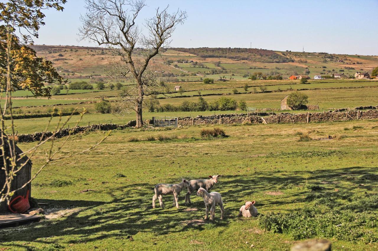 Moorland View Farm B&B Oakamoor Luaran gambar