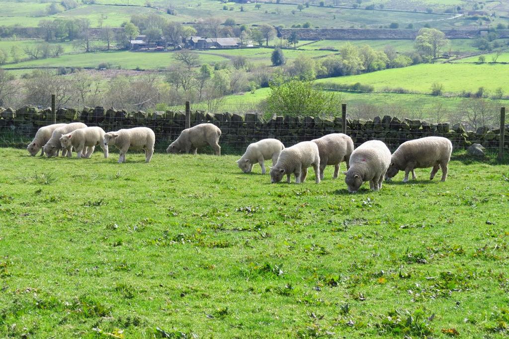Moorland View Farm B&B Oakamoor Luaran gambar